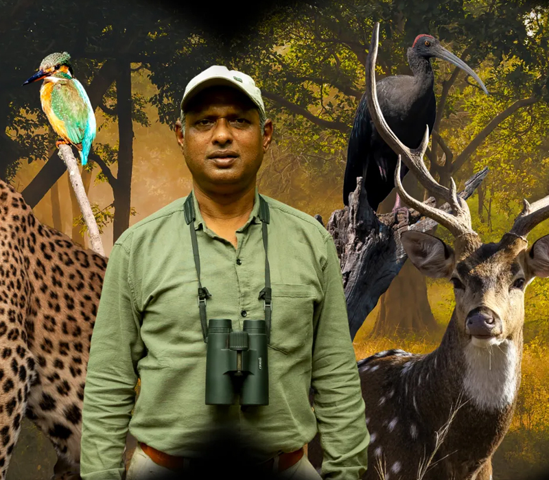 india wildlife tours