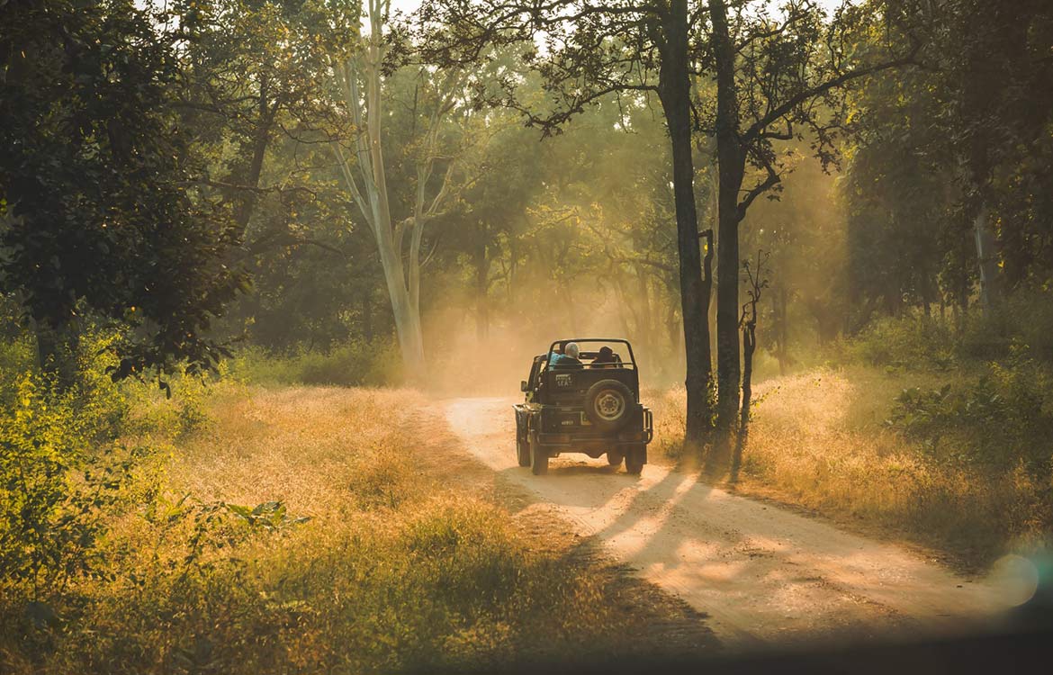 jeep safaris in india