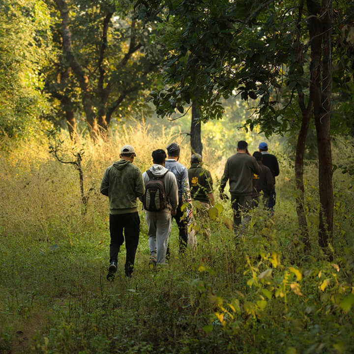 pench tours